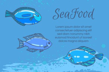 Deniz ürünleri restoranının menü şablonu, el çizimi vektör çizimi. Deniz köpüğündeki balık yemi dalgası mavi grafik modeli.