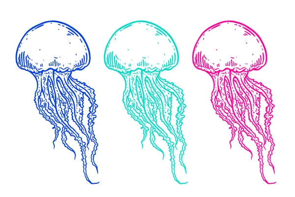 Jeu Méduses Colorées Dessinées Main Illustration Vectorielle Isolée Créature Marine — Image vectorielle