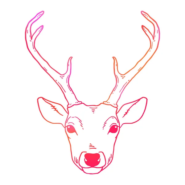 Beautiful Hand Drawn Tribal Style Deer Head Magic Vector Illustration — Stock Vector