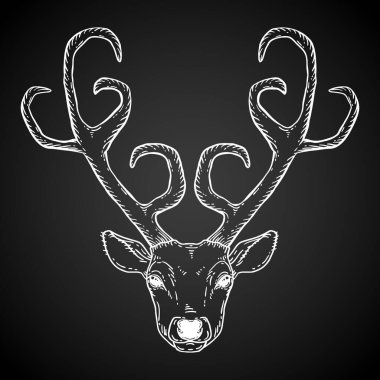 Güzel el çizilmiş kabile tarzı geyik kafası. Sihirli vektör çizimi beyazdan siyaha. Ruhani sanat, yoga, boho stili, doğa ve vahşi doğa. Tişört ve dövme tasarımı.