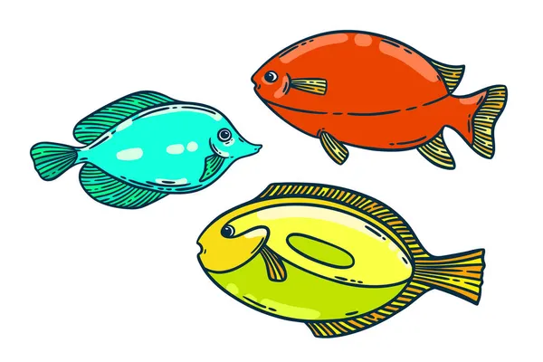 Школа Барвистої Яскравої Риби Намальована Вручну Векторні Ілюстрації Ресторан Море — стоковий вектор