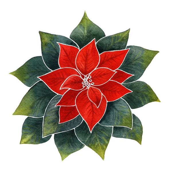 Rood Groen Aquarel Poinsettia Bloem Illustratie Kerstmis Nieuwjaar Vakantie Traditionele — Stockfoto