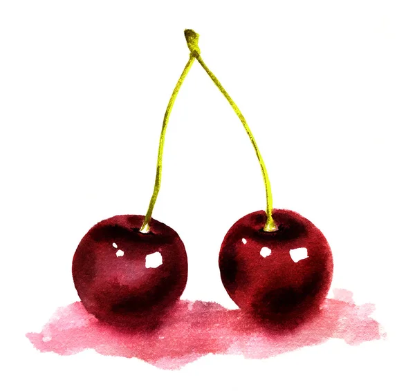 Třešňové Akvarel Ručně Kreslené Ilustrace Ovocná Větev Izolovaná Přes Bílé — Stock fotografie