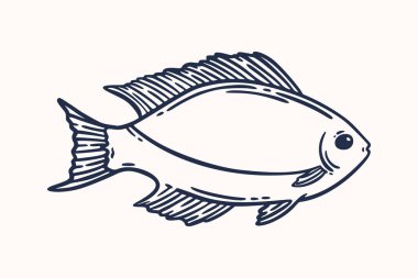 Balığın el çizimi, koyu mavi ile çizilmiş vektör çizimi, beyazın üzerinde izole edilmiş. Restoran deniz ürünleri menüsü grafik ögesi oymalı stil.