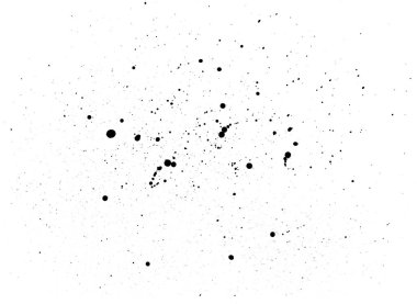 Siyah mürekkep sıçrama arkaplanı, beyaz üzerine izole.