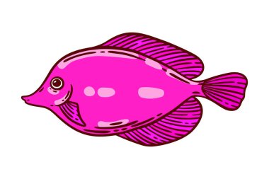 Parlak pembe balık, el çizimi vektör çizimi. Restoran deniz ürünleri menüsü grafik ögesi beyaz üzerine izole.