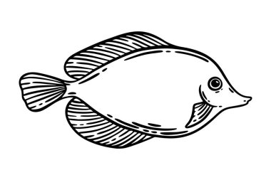 Balığın el çizimi, beyazın üzerine izole edilmiş siyah çizilmiş vektör çizimi. Restoran deniz ürünleri menüsü grafik ögesi oymalı stil.