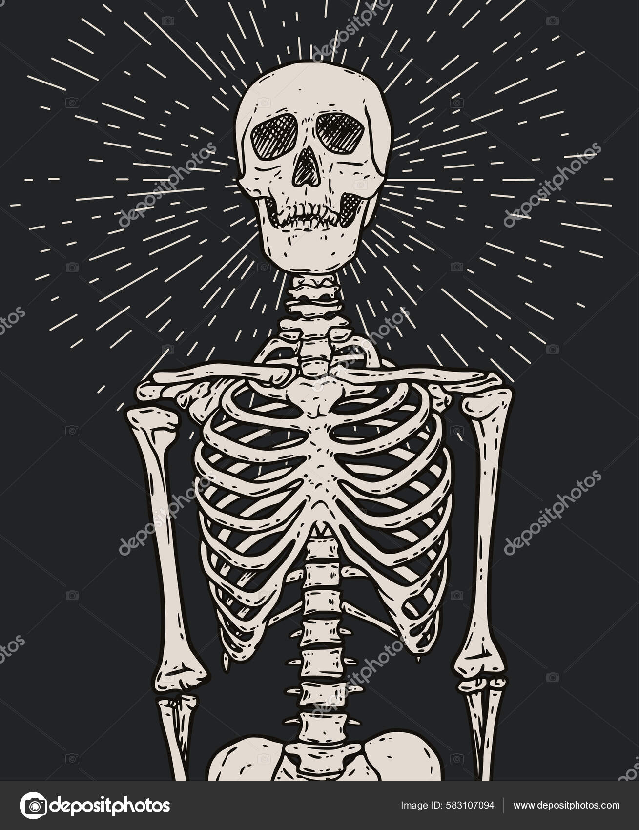 Human Skeleton Bursting Rays Light Skull Hand Drawn Vector Anatomy ...