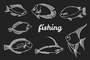 Balık çizim seti, el çizimi vektör çizimi, beyazla izole edilmiş siyah üzerine. Balıkçılık ya da deniz ürünleri menüsü grafik koleksiyonu.