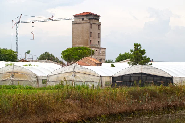 Greenhouses — Stock Photo, Image