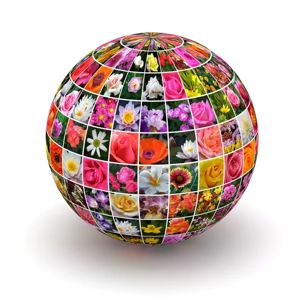 All flags in globe form — Stock Vector © bakelyt 5803785