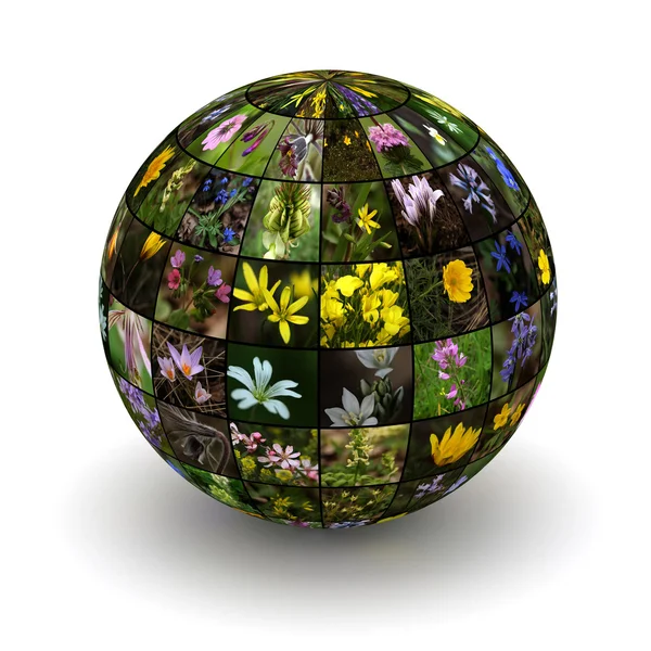 Planet flowers — Stock Photo, Image