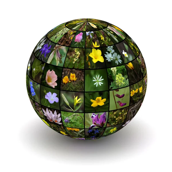 Planet flowers — Stock Photo, Image