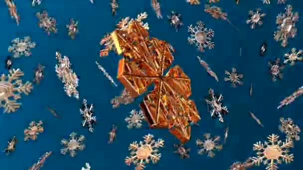 Snowflakes — Stock Video