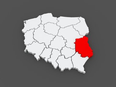 lublin Voyvodalığı Haritası. Polonya.