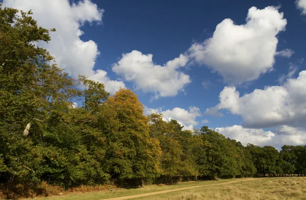 Early Autumn — Stock Photo, Image