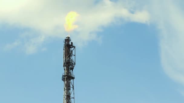 Antorcha de gas de fuego refinería — Vídeo de stock