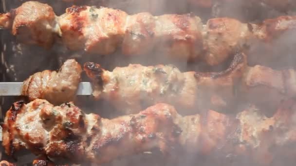 Hovězí kebab na grilu — Stock video