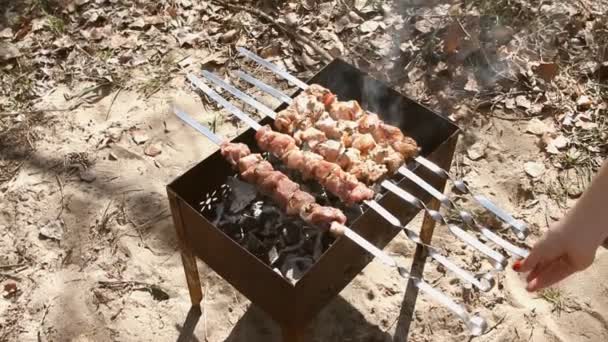 Kababs vom Rind auf dem Grill — Stockvideo