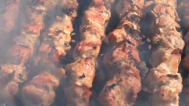 Brochetas de carne en la parrilla — Vídeo de stock