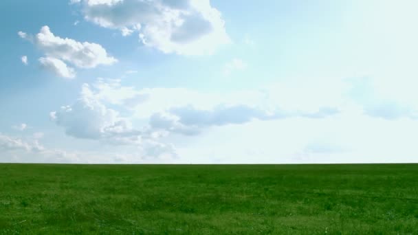 Pradera con hierba verde y cielo azul con nubes — Vídeos de Stock