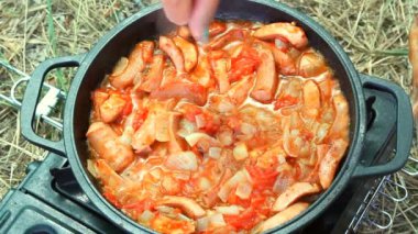 bir portatif gaz sobası kızartma