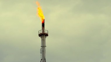 Rafineri yangın meşalesi