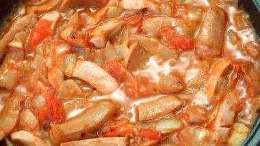 bir portatif gaz sobası kızartma