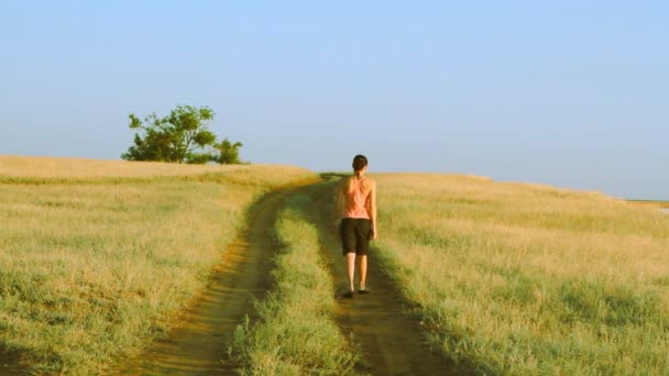 Chica caminando en el camino rural vacío lejos en el día de verano — Vídeos de Stock