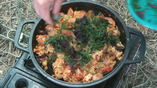 Rôti sur une cuisinière à gaz portable — Video