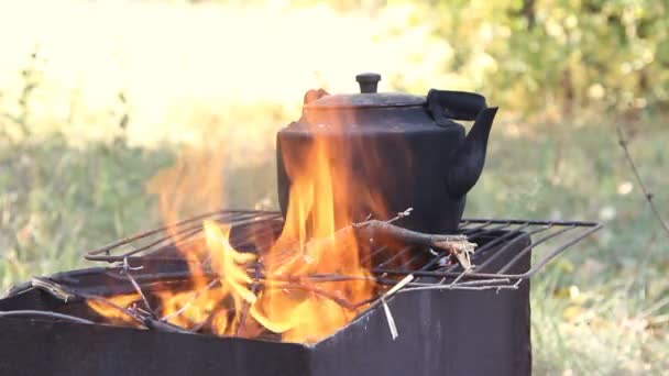 在篝火上黑色老熏制的茶壶 — 图库视频影像