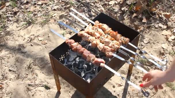 Carne de bovino esfaqueada na grelha — Vídeo de Stock