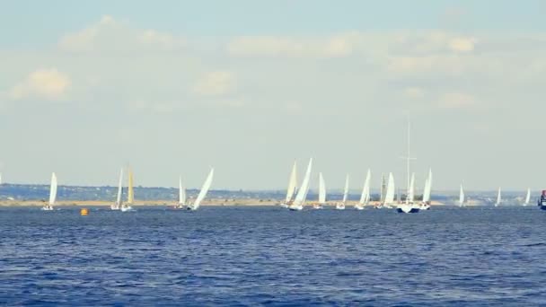 Вітрильні човни на морі і блакитне небо — стокове відео