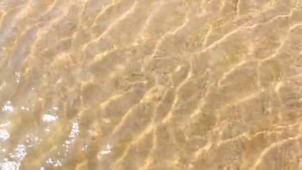 Мягкая волна моря на песчаном пляже — стоковое видео