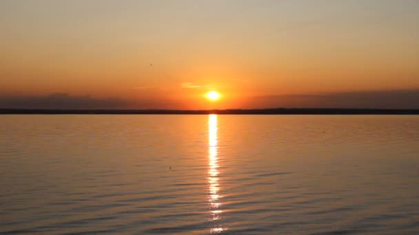 Por do sol sobre a costa do oceano — Vídeo de Stock