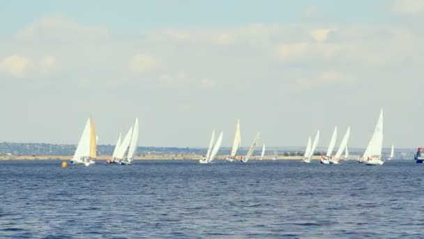 Barcos de vela en el mar y el cielo azul — Vídeo de stock