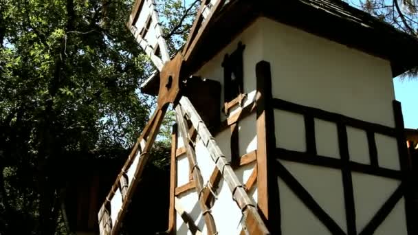 Moulin à vent à Holand dans la journée d'été — Video