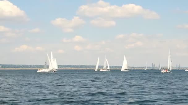 Segelboote auf dem Meer und blauem Himmel — Stockvideo
