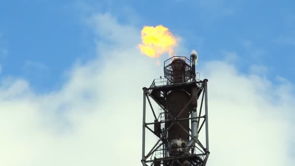 Газовая горелка НПЗ — стоковое видео