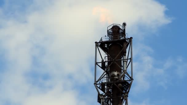 Antorcha de gas de fuego refinería — Vídeo de stock