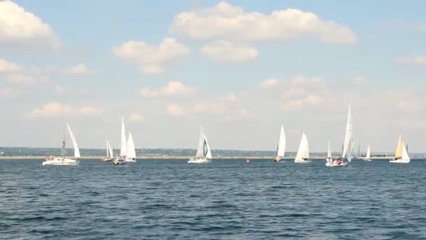 Barcos de vela en el mar y el cielo azul — Vídeos de Stock
