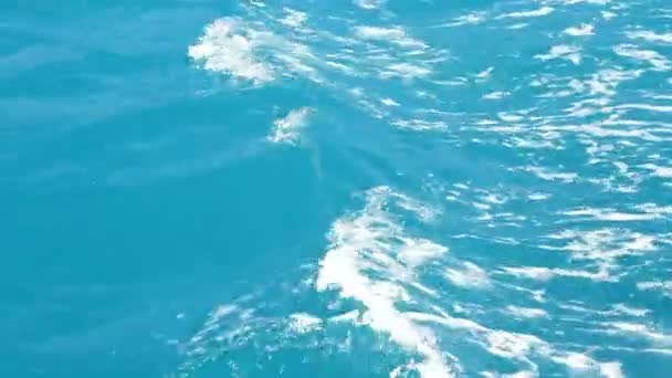 Хлюпалися хвилі — стокове відео