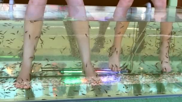 Peeling pies de piel de peces tropicales en el agua — Vídeos de Stock