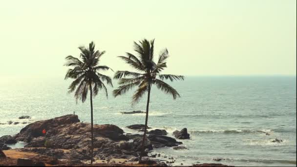 Inde Goa Vagator plage février 20, 2013. Silhouette de palmiers au coucher du soleil 