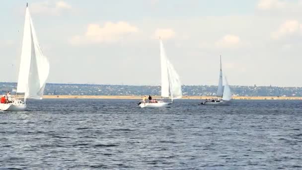 Barche a vela sul mare e cielo blu — Video Stock