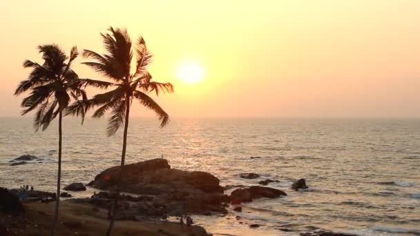 Indie goa vagator beach 20 lutego 2013 roku. Dłoń drzewa sylwetka na zachodzie słońca — Wideo stockowe