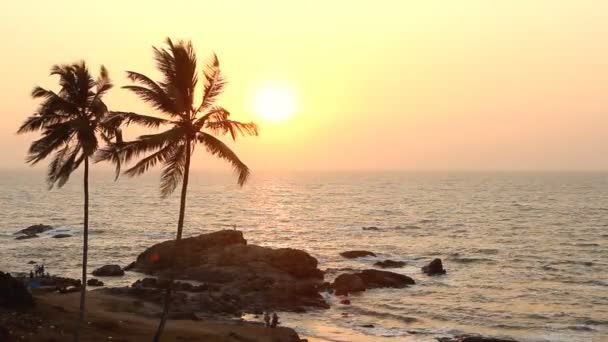 Inde Goa Vagator plage février 20, 2013. Silhouette de palmiers au coucher du soleil 