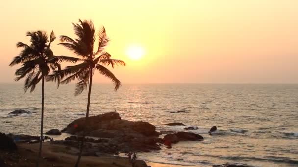 India Goa Vagator beach 20 de febrero de 2013. Silueta de palmeras al atardecer — Vídeos de Stock