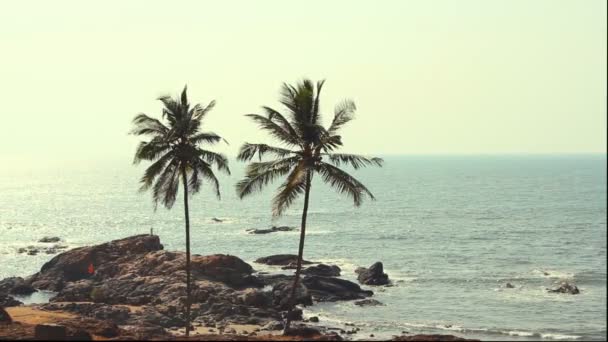 India Goa Vagator spiaggia febbraio 20, 2013. Silhouette di palme al tramonto — Video Stock