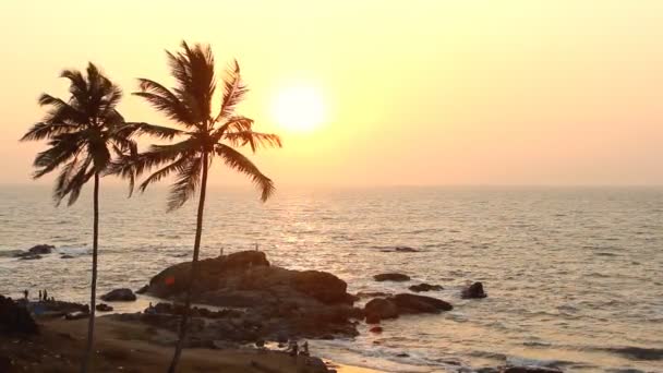 Ινδία Γκόα Βαγκατόρ παραλία 20 Φεβρουαρίου 2013. σιλουέτα δέντρα φοίνικας στο ηλιοβασίλεμα — Αρχείο Βίντεο